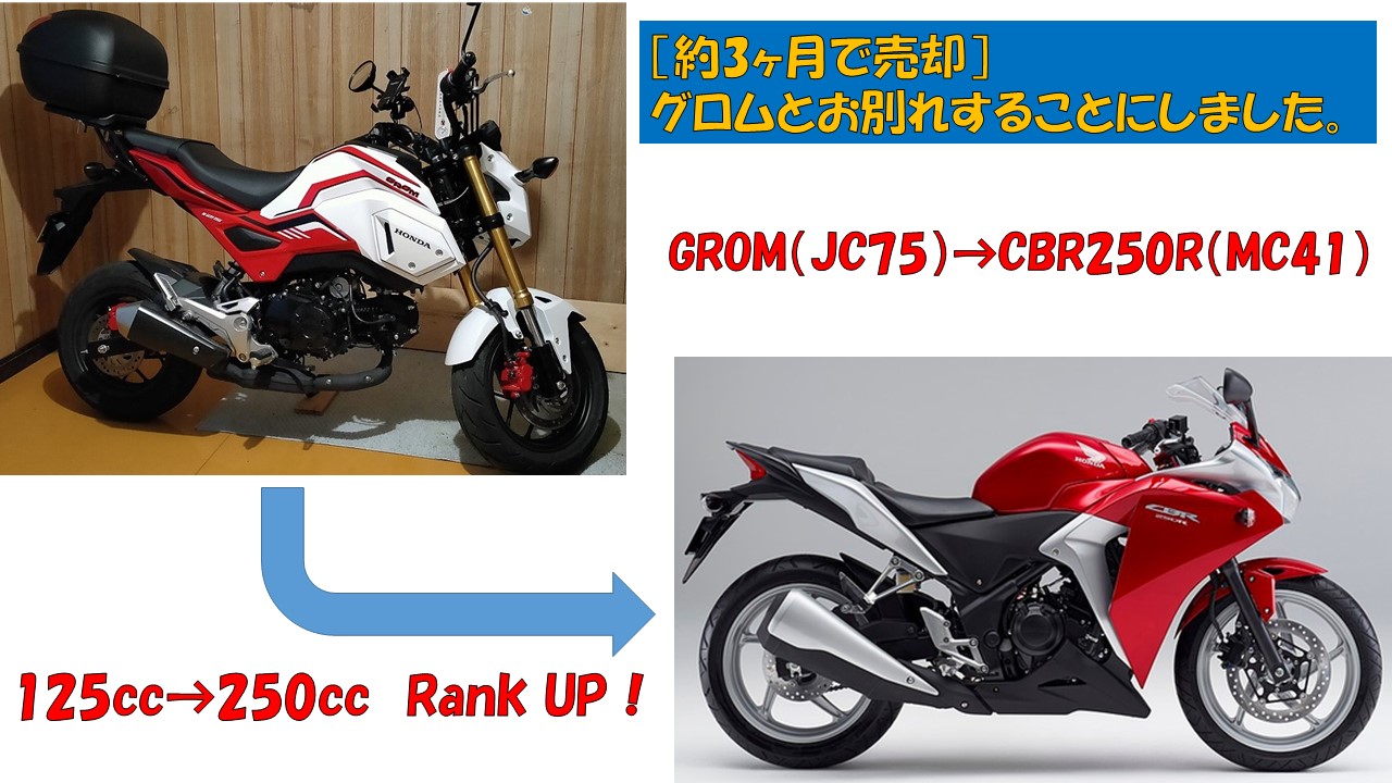 約3ヶ月で売却 グロムとお別れすることにしました 自由に生きる